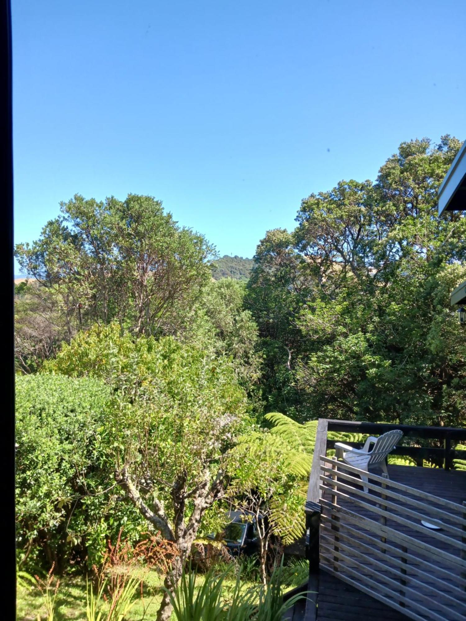 Bed and Breakfast The Annex Whitianga Exterior foto